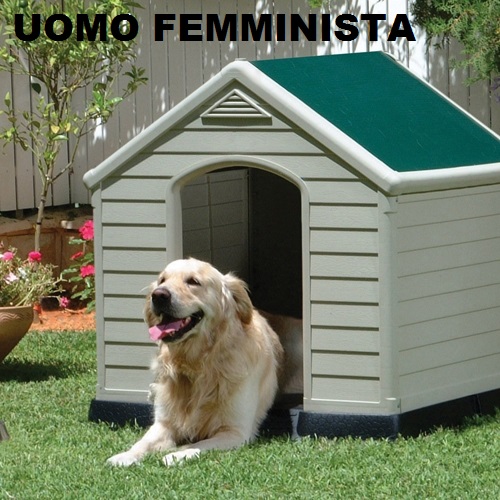 cuccia-per-cani-ketter!