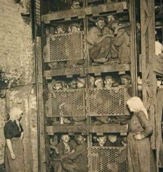 88056612_10223309597514810_877480909702430720_n