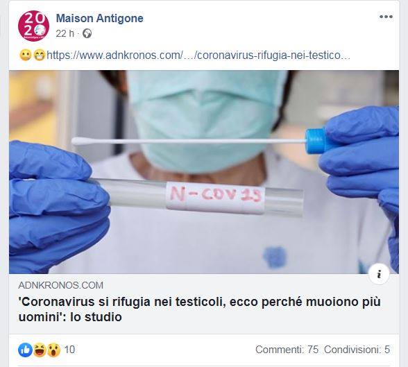 94238462_225638588534458_6056053846143139840_n